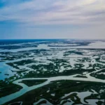 الاراضي الرطبة والغابات مُهددة بالاختفاء.. لماذا نحتاج إلى الاراضي الرطبة؟