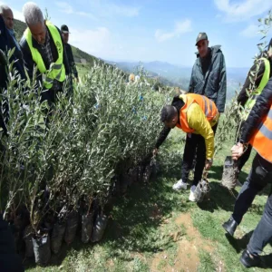 بمناسبة اليوم العالمي للغابات: كيونت تعزز التزامها اتجاه البيئة بتنظيم عملية تشجير واسعة في منطقة بوغني بولاية تيزي وزو