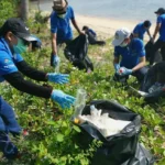 اليوم العالمي للمحيطات: اتخاذ خطوات نحو مستقبل خالٍ من البلاستيك مع QVI