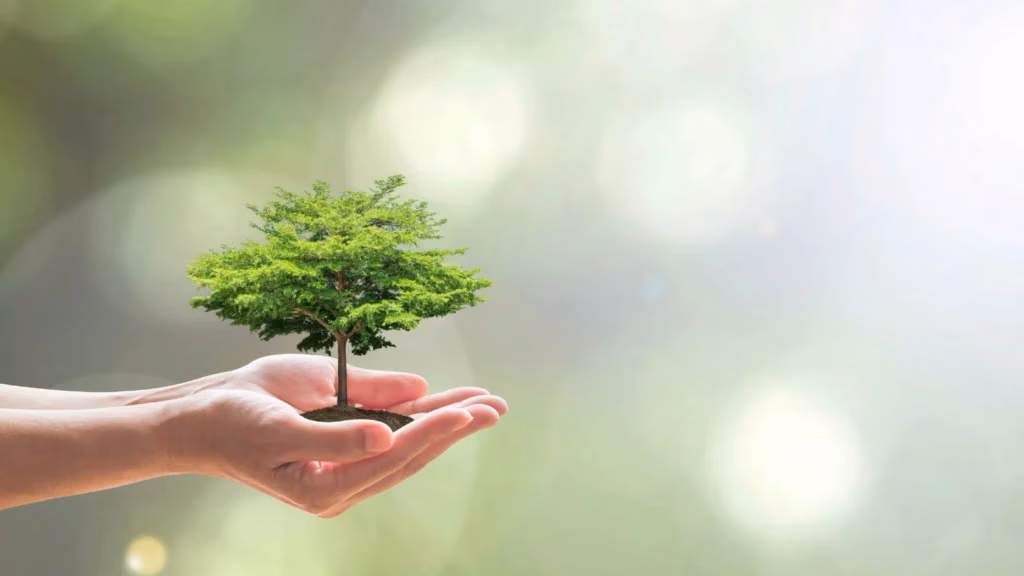 برنامج الإرث الأخضر