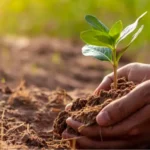 Les projets d'héritage vert les plus importants de QNET au Moyen-Orient et en Afrique du Nord