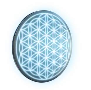 Amezcua Flower Of Life 310x304