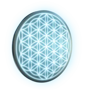 Amezcua Chi Pendant 4 3 Amezcua flower of life 310x304 1 1